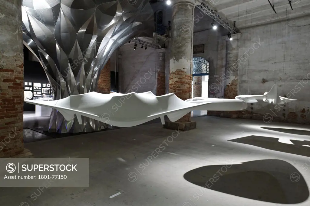 Venice Biennale 2012, Common Ground, Art Exhibition, Europe, Italy, , 2012, Various. Zaha Hadid's installation on lightweight shells.