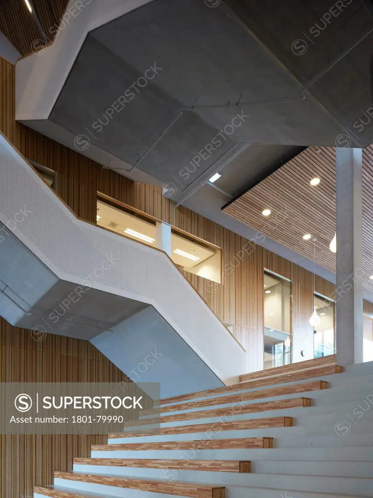 Amsterdam University College, Amstderdam, Netherlands. Architect: Mecanoo, 2012. View Upwards To Multifunctional Stairway With Bench Seating And Cast Concrete Stairframe.
