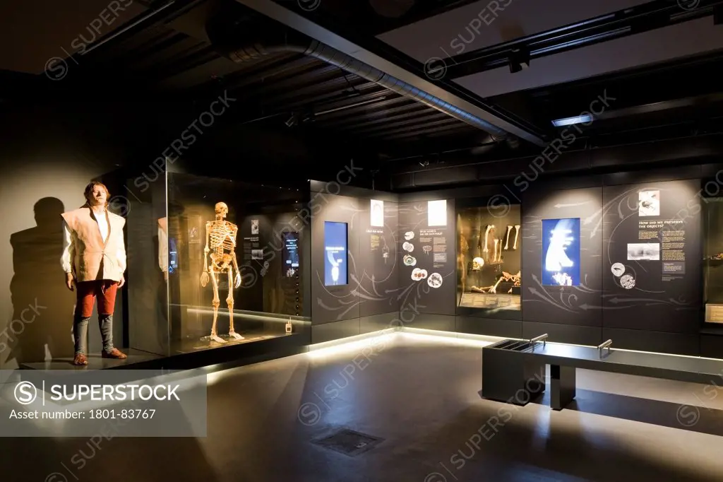 The Mary Rose Museum, Portsmouth, United Kingdom. Architect: Wilkinson Eyre Architects , 2013. Internal view of displays on bottom deck.