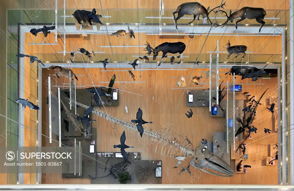 MUSEScience Museum, Trentino, Italy. Architect Renzo Piano Building Workshop, 2013. Bird's eye view to main atrium with taxidermied animals and skeletons on display.