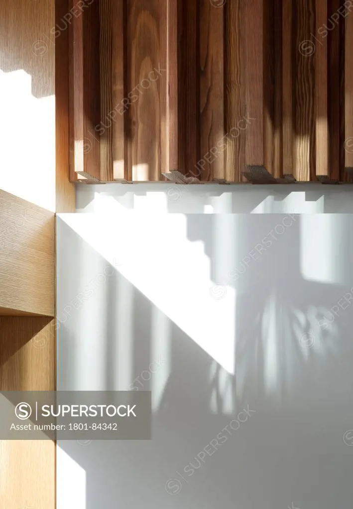 Power House, London, United Kingdom. Architect Paul Archer Design, 2013. Play of light and shadow detail on wall and timber in the dining room area.