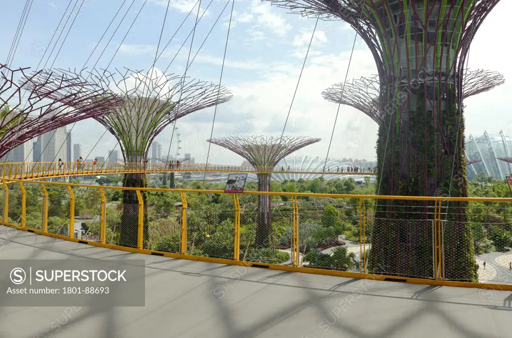 Gardens by the Bay, Singapore, Singapore. Architect Grant Associates, 2012. View of the garden, 'Supertrees' and the suspended pathway.