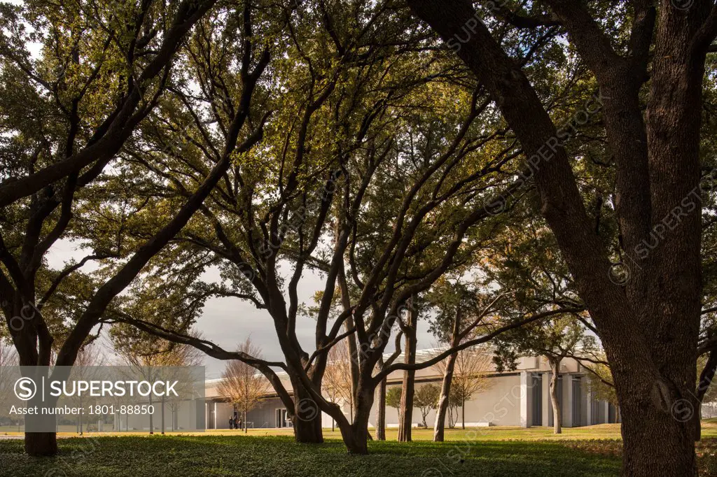 Kimbell Art Museum Renzo Piano Expansion, Fort Worth, United States. Architect Renzo Piano Building Workshop, 2013. Holly tree plantation with pavilion beyond.