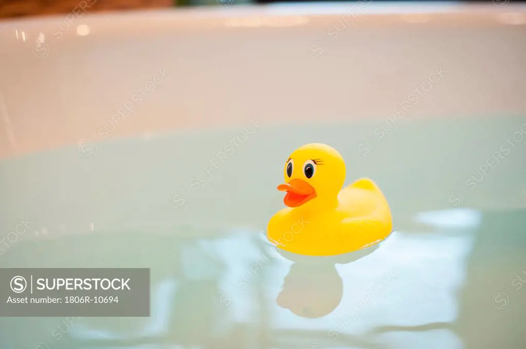Close-up of a rubber duck in bathtub water against blurred background. 01/22/2013