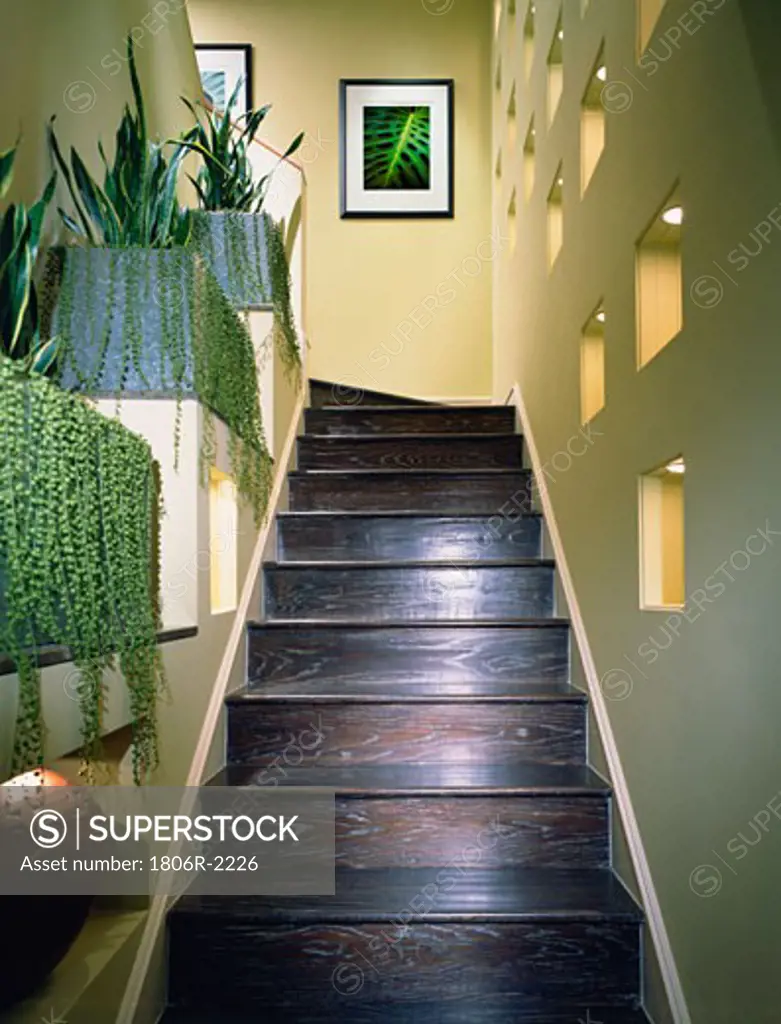 Dark Hardwood Staircase