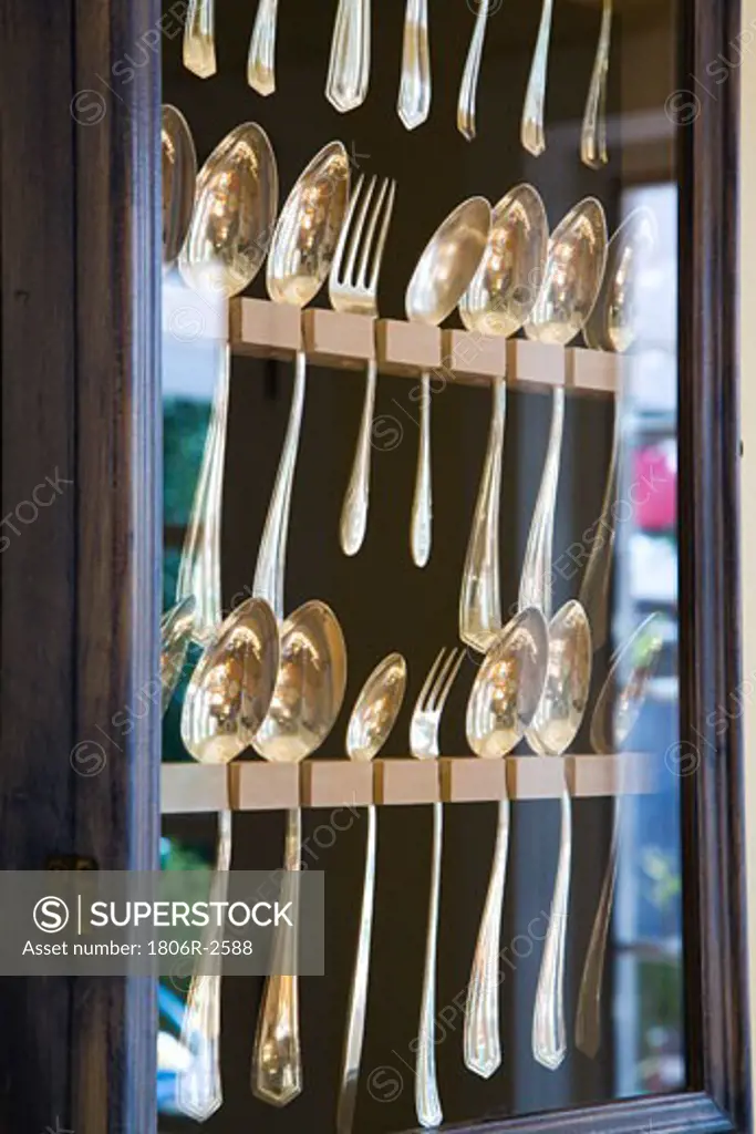 Spoon Collection in Case