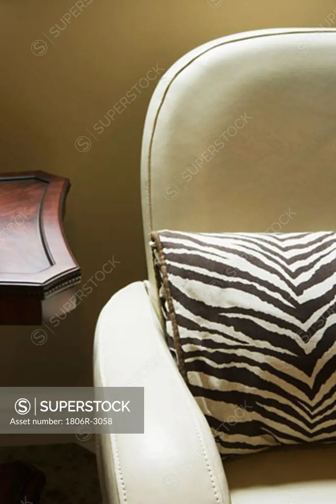 Leather Armchair with Zebra Pillow
