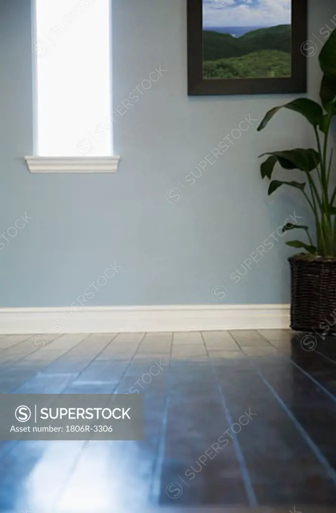 Sunlight on Hardwood Floor