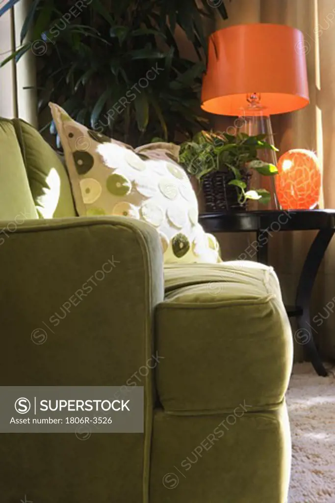Green Sofa in Living Room