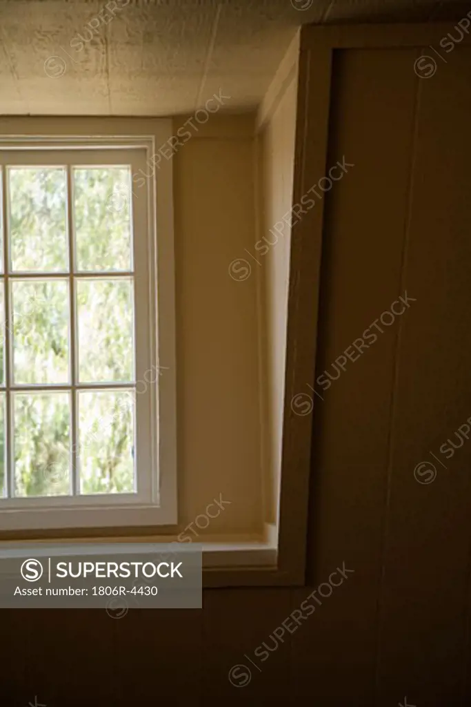 Window and Architectural Detail