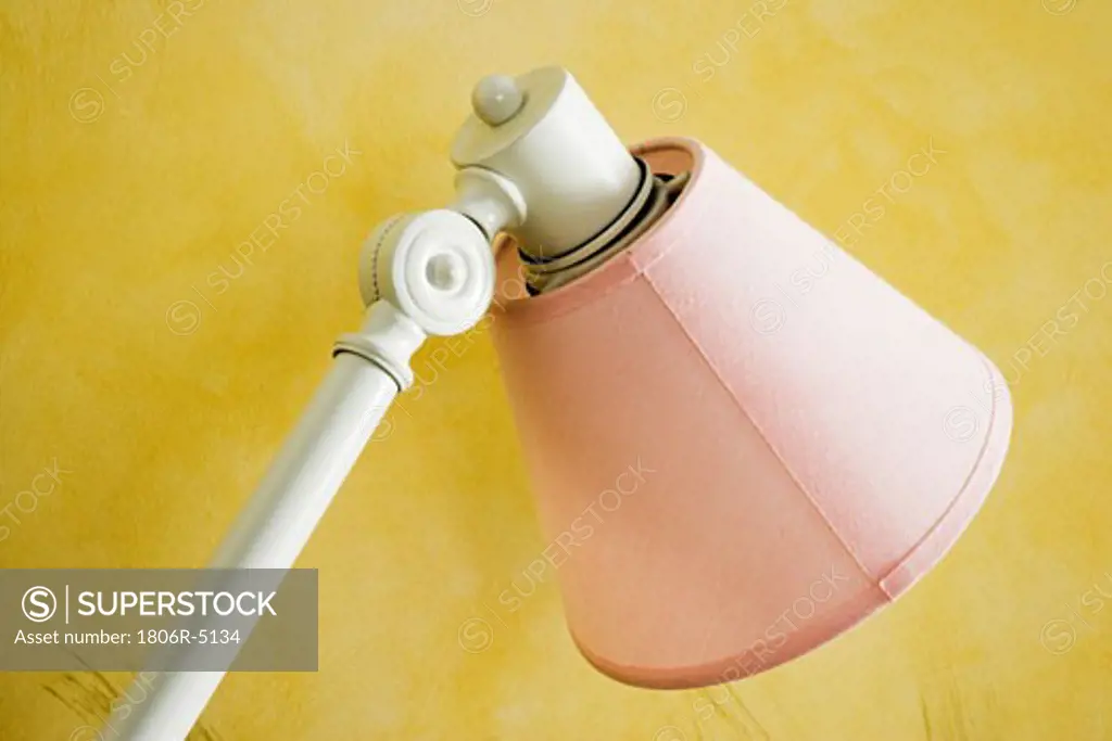 Reading Lamp with Pink Shade