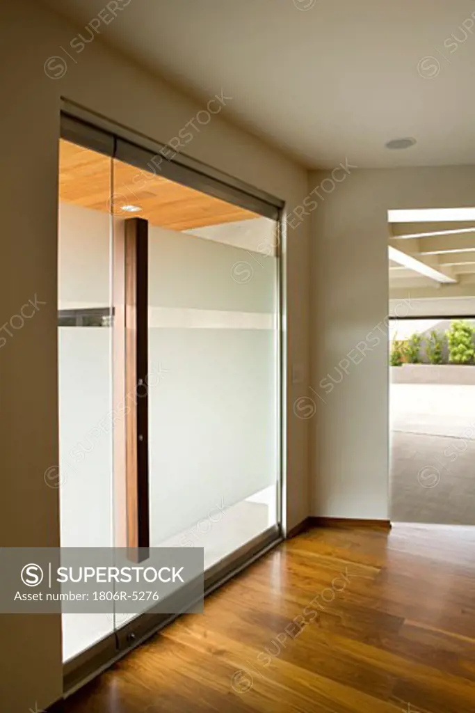 Modern Frosted Glass Door
