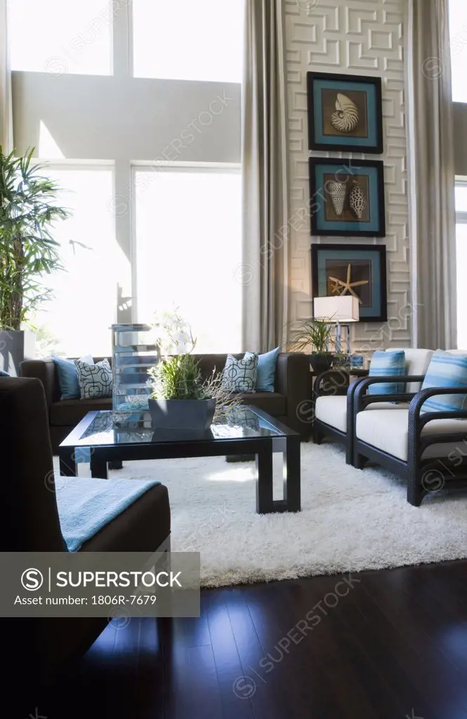 Contemporary loft style living room with area rug