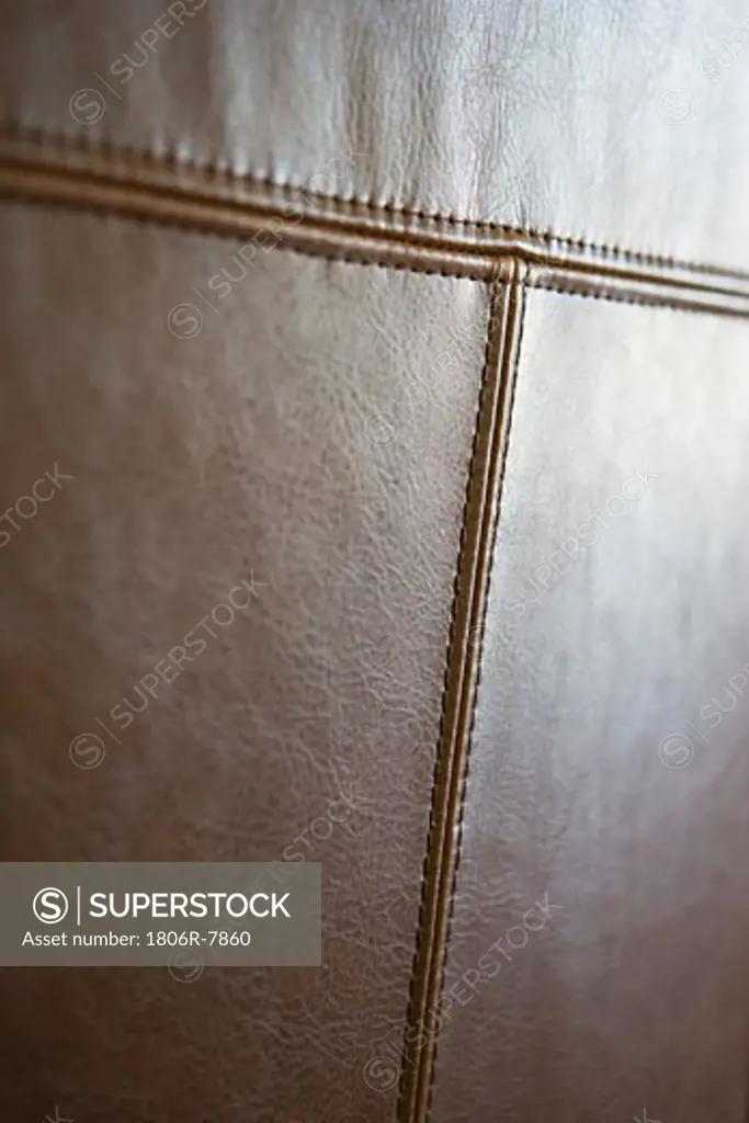 Detail brown leather furniture