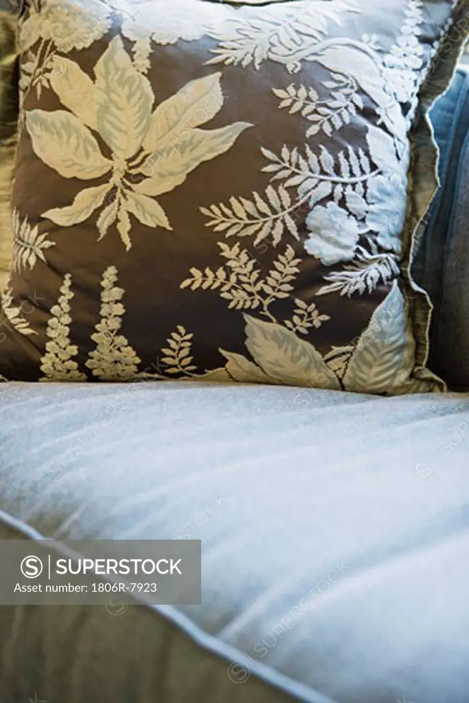 Patterned throw pillow on sofa