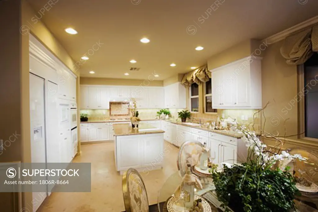 Contemporary light colored kitchen