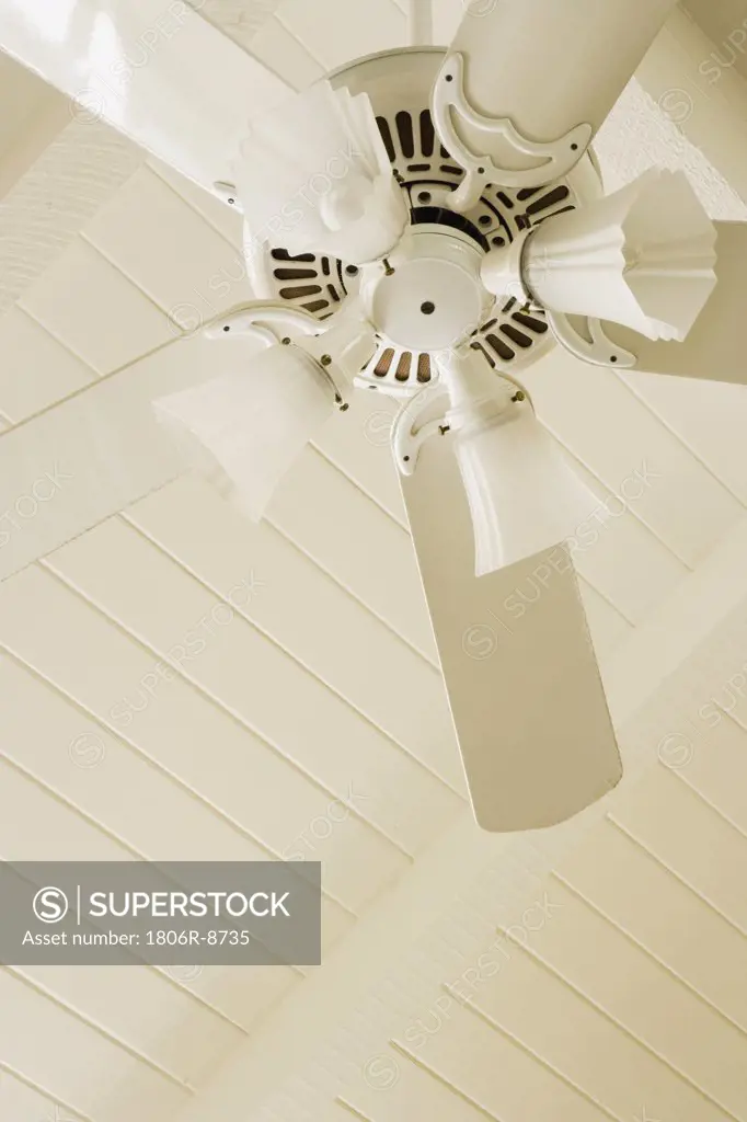 Detail white ceiling fan and light fixture