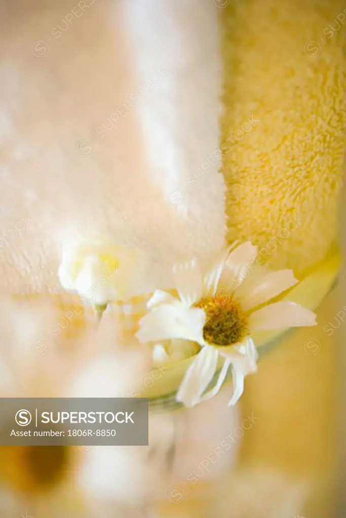 Detail bathroom towels with ribbon and daisy decoration