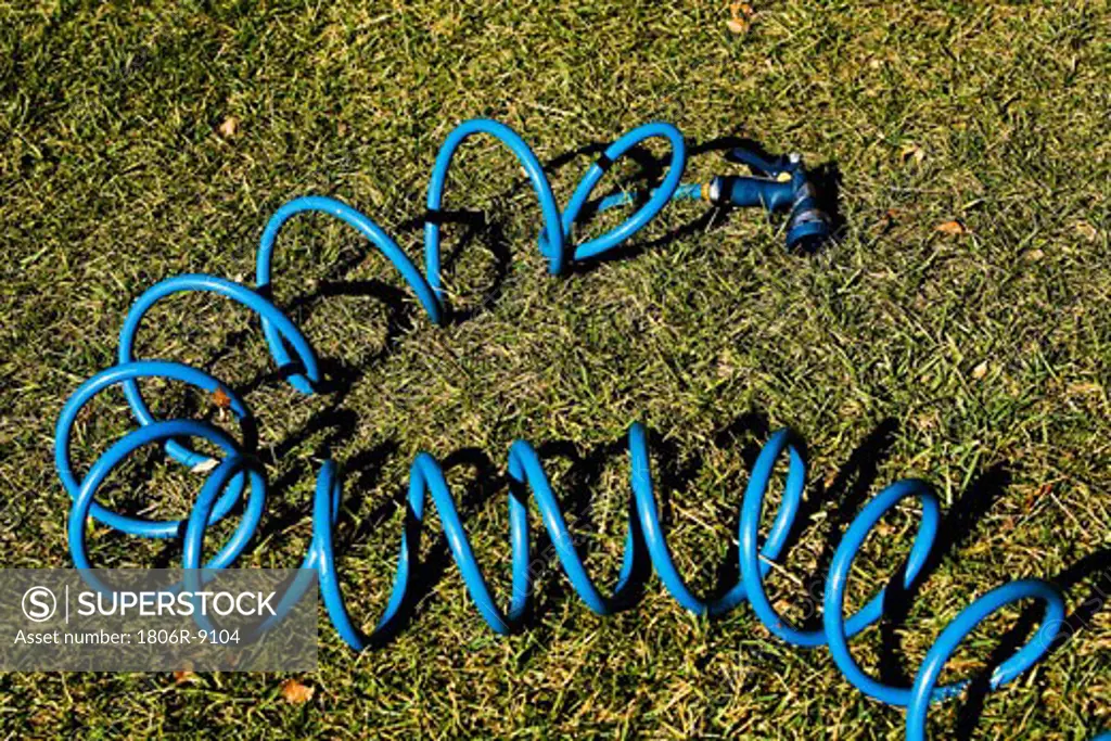 Blue coiled hose on lawn