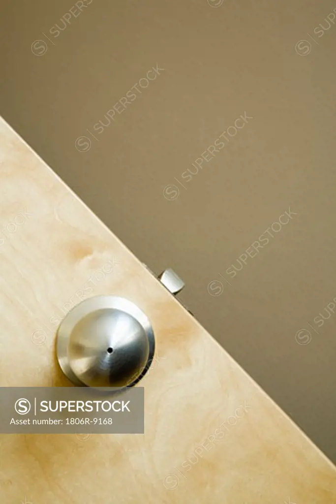 Detail of Modern Door with Chrome Doorknob