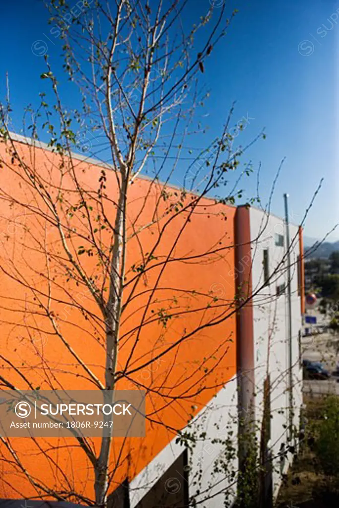 Exterior or Orange Modern Home and Tree