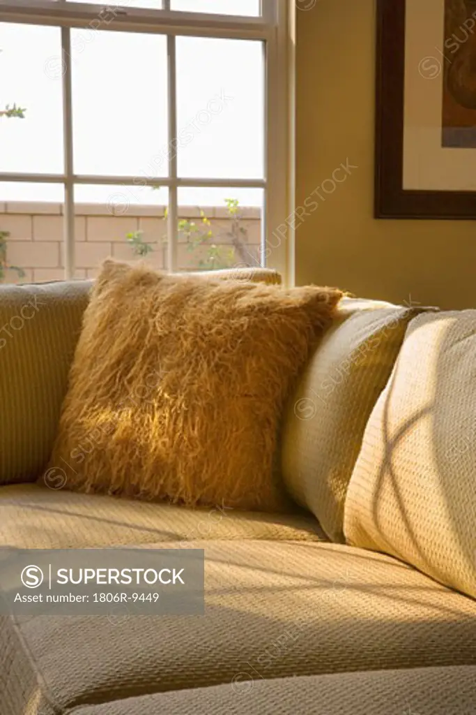 Corner of sectional sofa with furry throw pillow