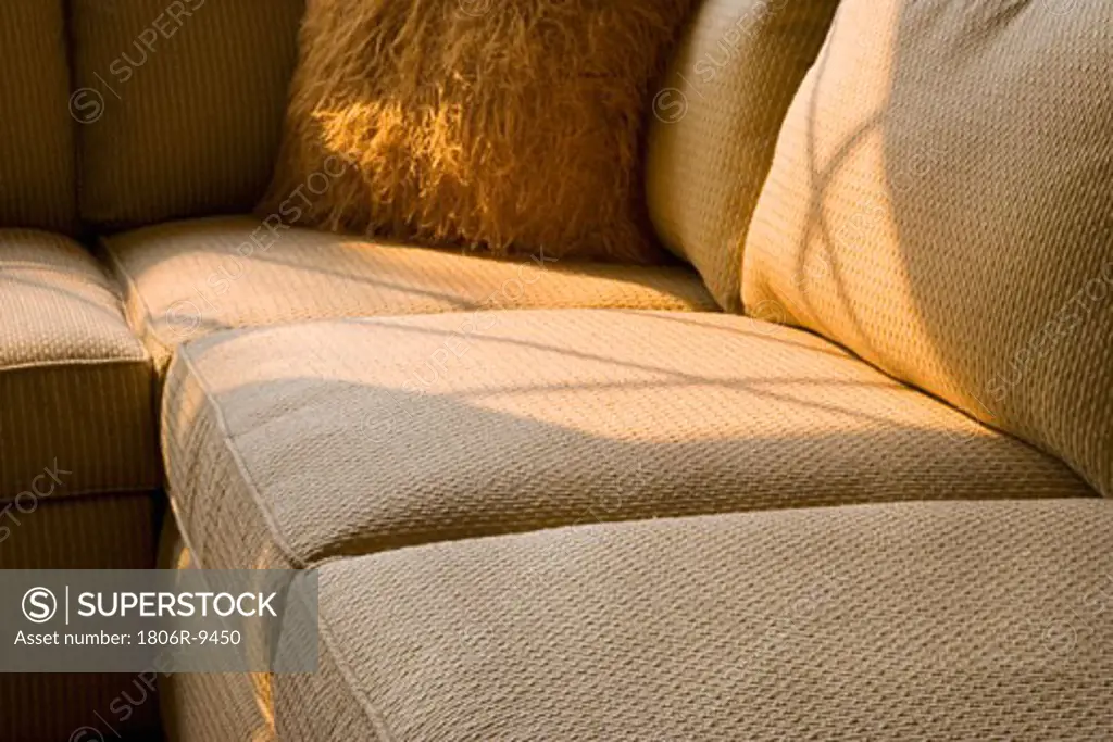 Corner of sectional sofa with furry throw pillow