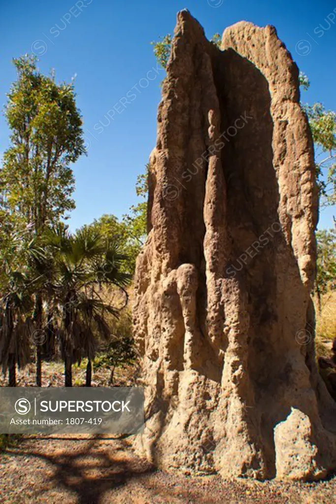 Australia, Northern Territory, Kakadu National Park, Cathedral termite mounds