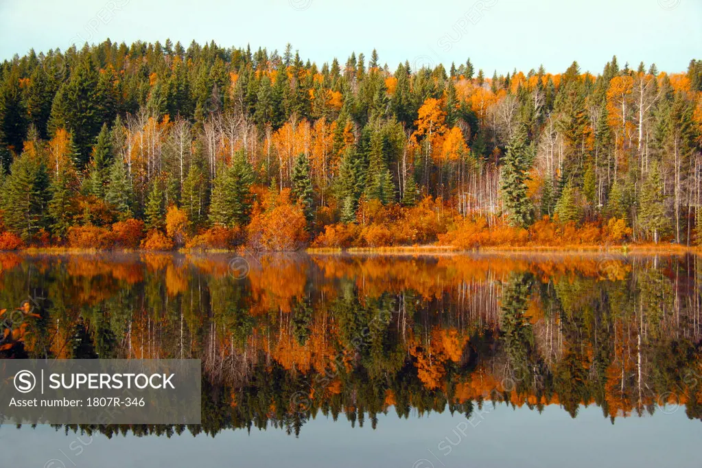 Lake and fall leaves on trees by waters edge