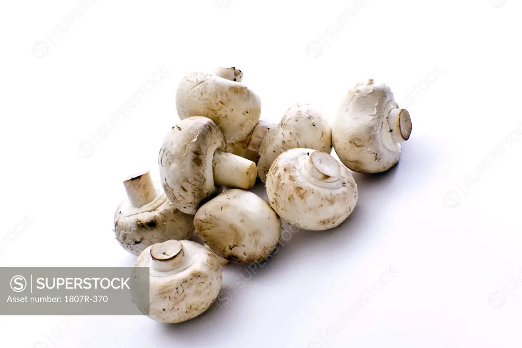 Champignons isolated on white background