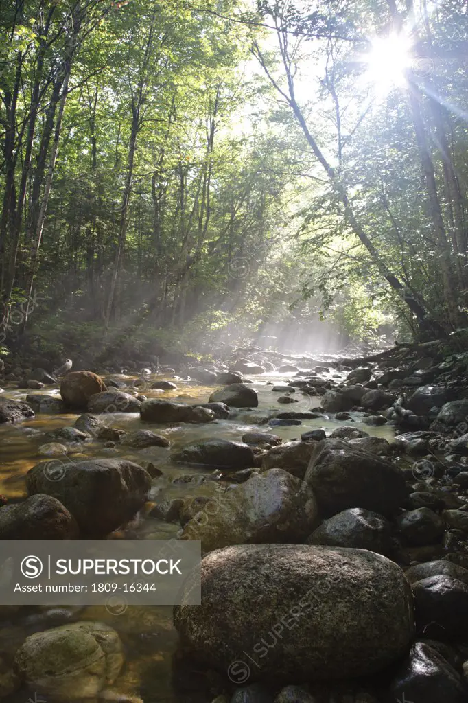 Morning fog along Cedar Brook during the summer months in the Pemigewasset Wilderness of Lincoln, New Hampshire USA. This area was part of the East Branch & Lincoln Railroad, which was a logging railroad which operated from 1893 - 1948