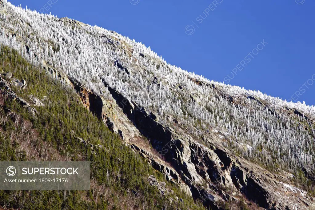 The cliffs of Mount Webster from the Mt Willard Section House site along the old Maine Central Railroad in Crawford Notch State Park of the White Mountains, New Hampshire USA.