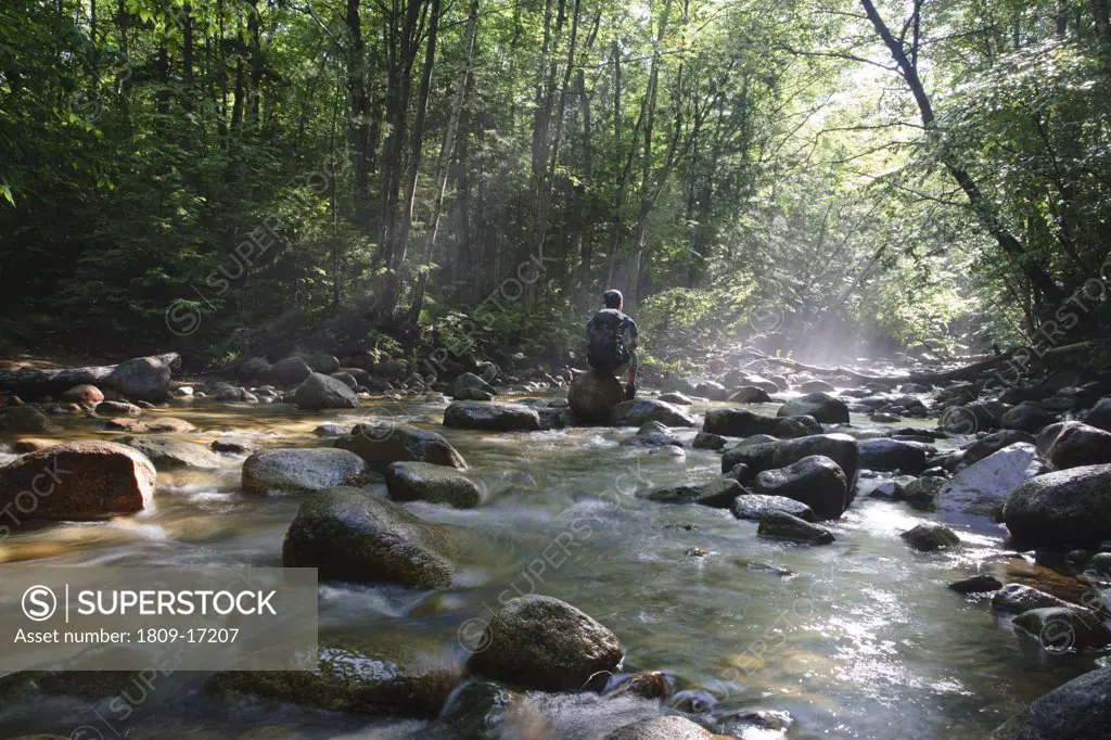 Hiker standing on rock in morning fog along Cedar Brook during the summer months in the Pemigewasset Wilderness of Lincoln, New Hampshire USA. This area was part of the East Branch & Lincoln Railroad, which was a logging railroad which operated from 1893 - 1948