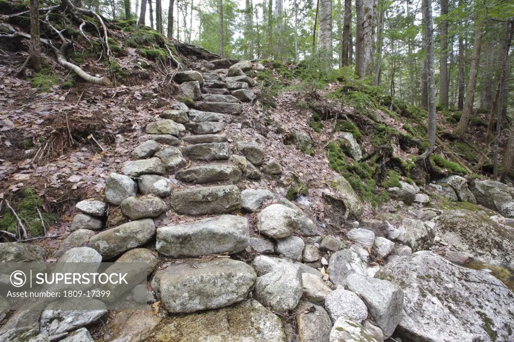 Trail Stewardship - Stone steps along Fletcher Cascades Trail during the spring months in Waterville Valley, New Hampshire USA. Trail maintenance guidelines state the best trails show little evidence of work and it should blend in with its surroundings