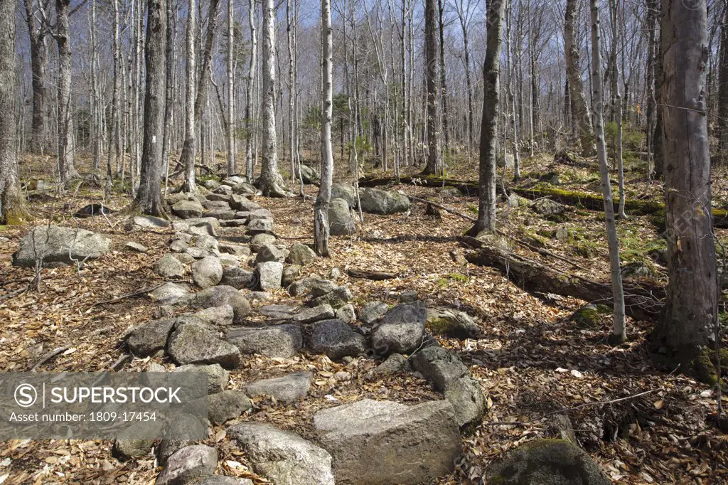 Rock steps along the Appalachian Trail (Liberty Spring Trail) in the White Mountains, New Hampshire USA. Trail Maintenance handbook guidelines state the best trails show little evidence of work and that trail work should blend in with its surroundings