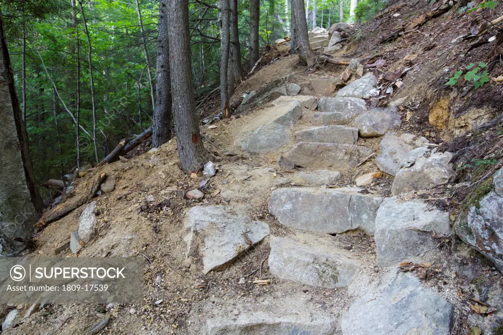 Presidential Range-Dry River Wilderness - Newly built stone steps along the Davis Path during the summer months in the White Mountains, New Hampshire. This is a example of stone steps built by a professional AMC trail crew