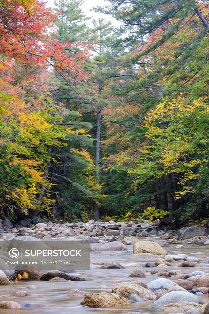 Hancock Branch in the White Mountains, New Hampshire USA during the autumn months