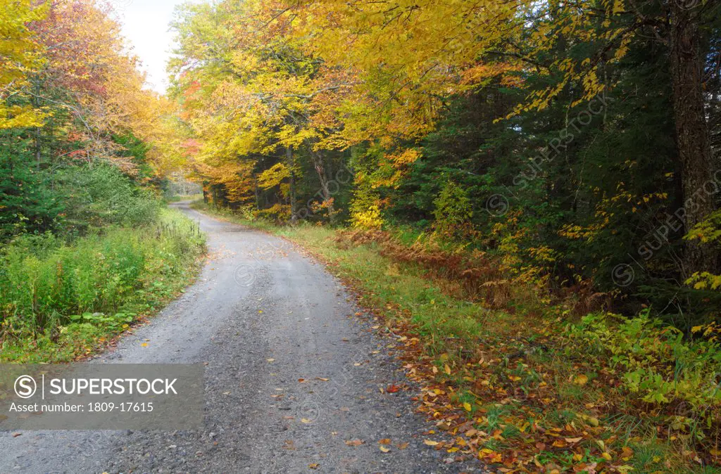 Northeast Kingdom  - Radar Road in Granby, Vermont during the autumn months