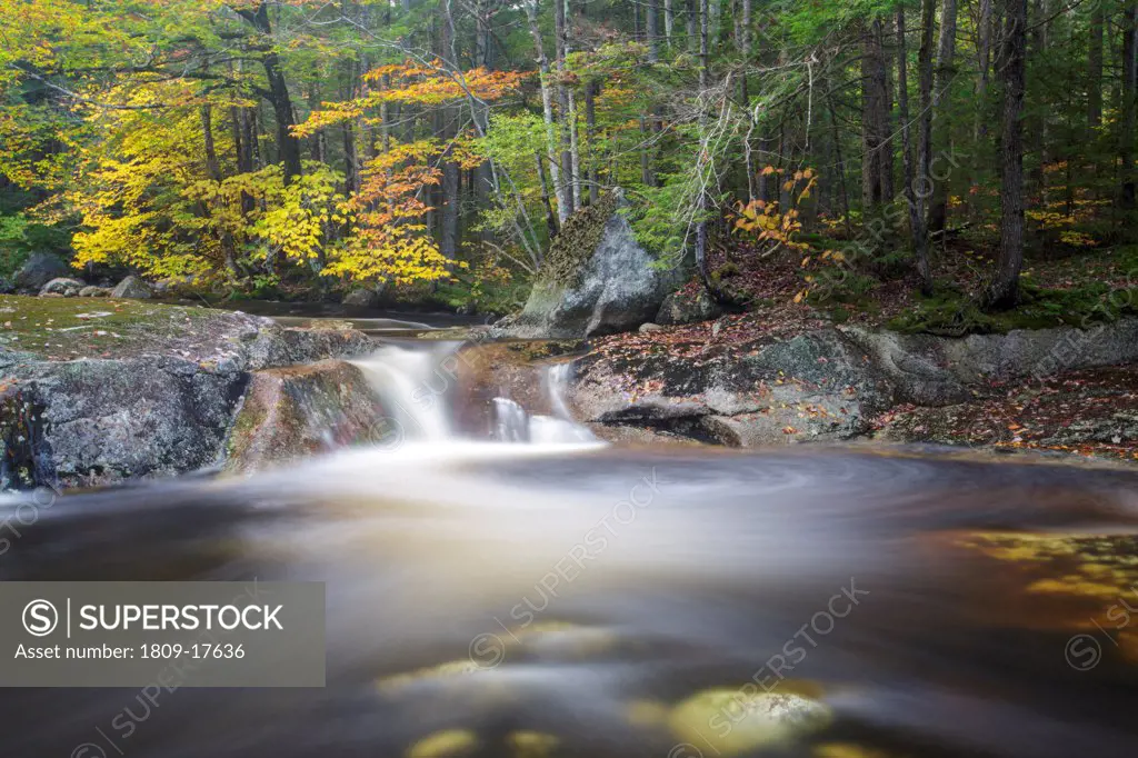 Harvard Brook in the White Mountains, New Hampshire USA during the atumn months