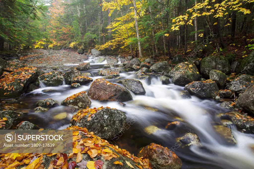 Harvard Brook in the White Mountains, New Hampshire USA during the atumn months