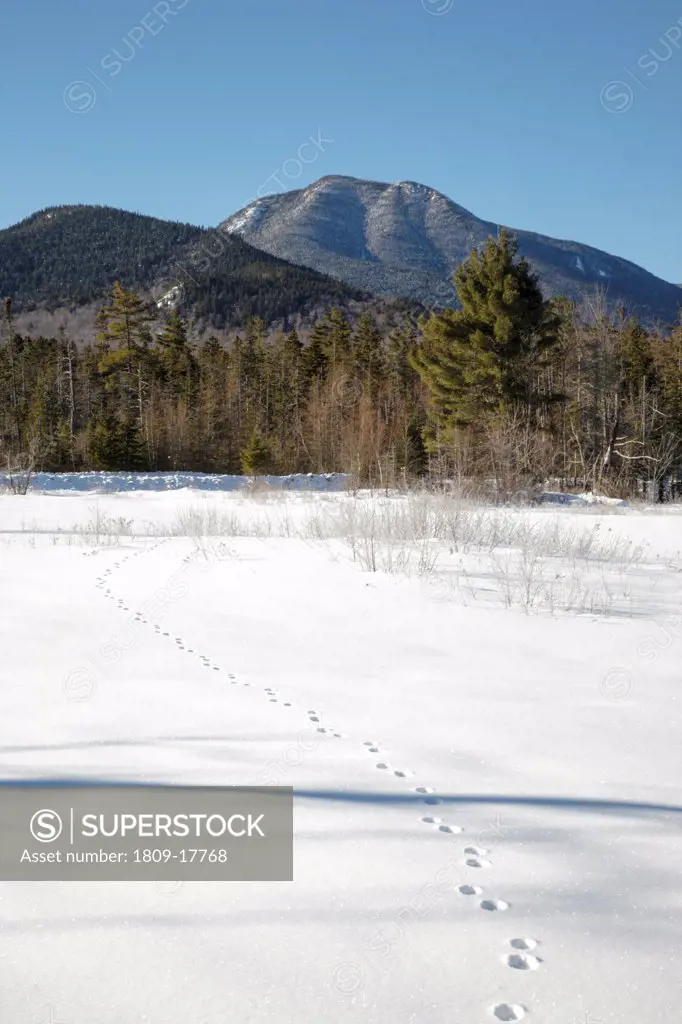 Mount Passaconaway in Albany, New Hampshire USA from along the Kancamagus Scenic Byway during the winter months