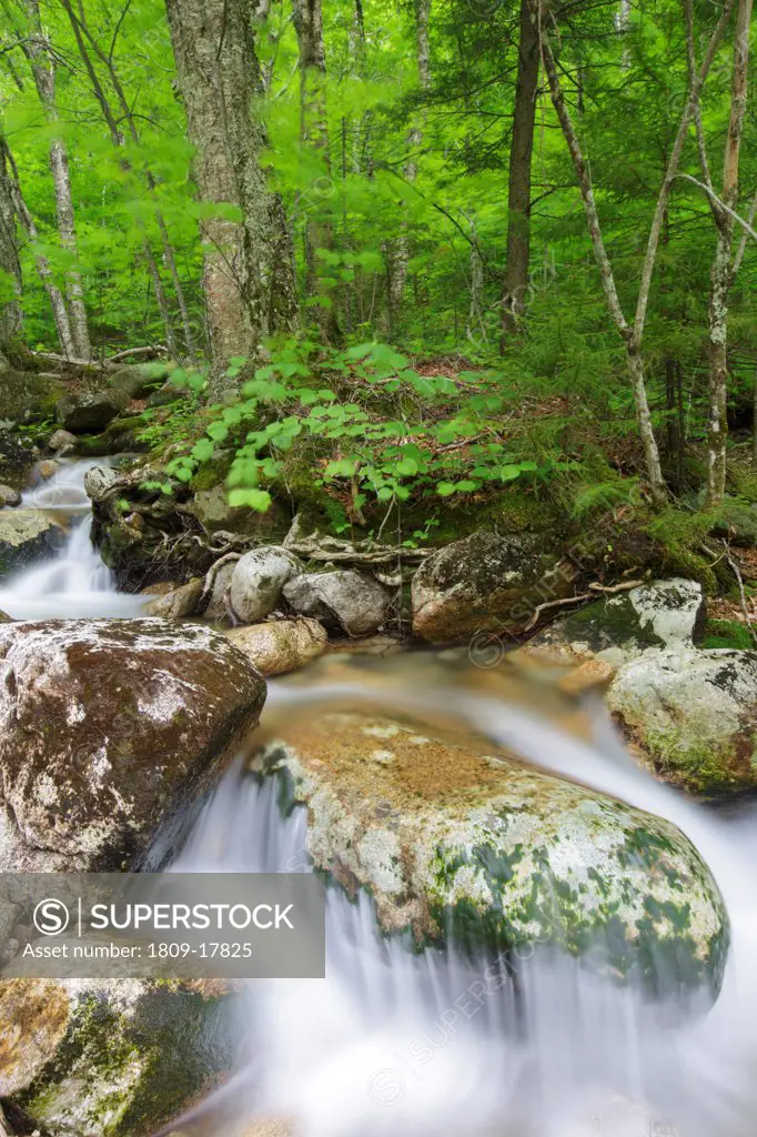 Lafayette Brook Scenic Area - Lafayette Brook in Franconia, New Hampshire USA during the spring months