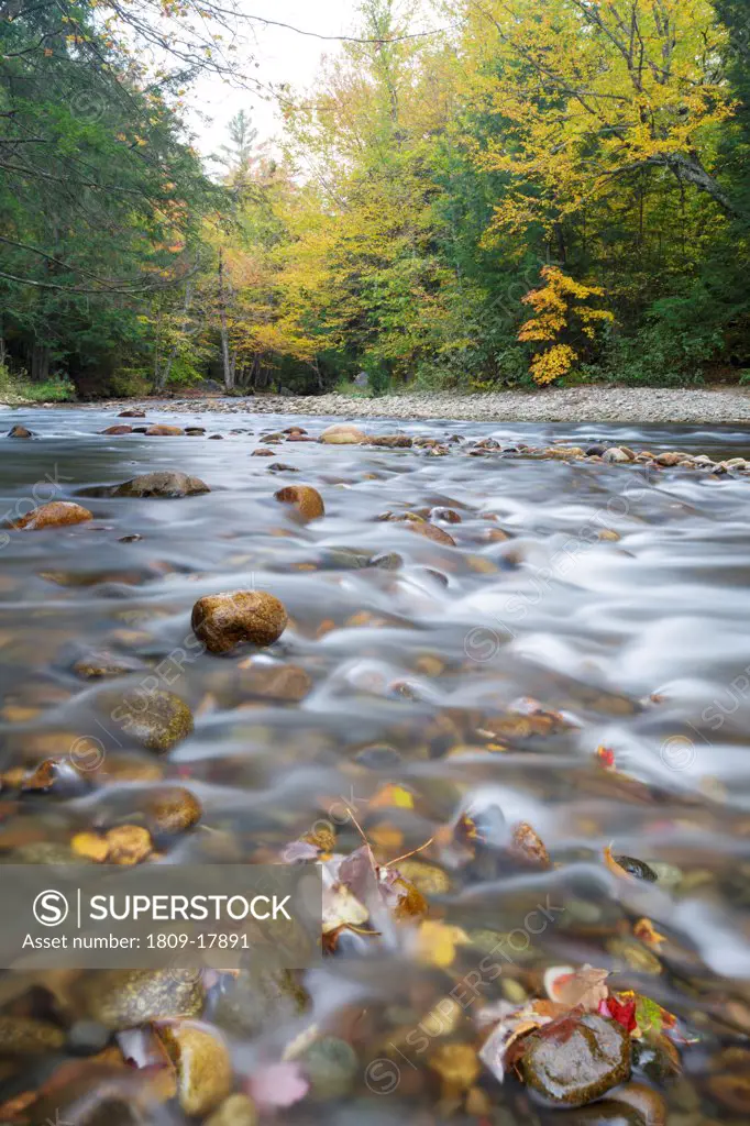 Gale River in Franconia, New Hampshire USA during the autumn months