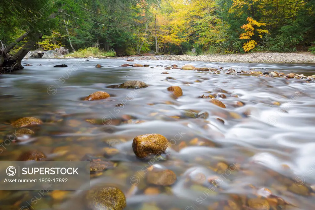 Gale River in Franconia, New Hampshire USA during the autumn months
