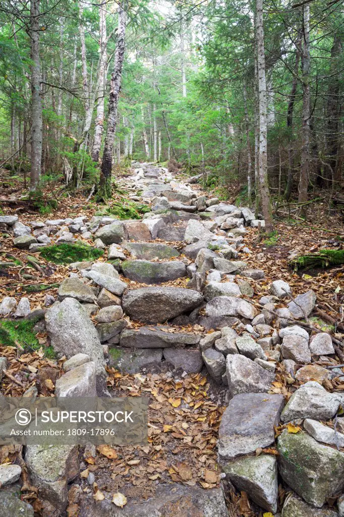 Mt Tecumseh Trail in the White Mountains, New Hampshire USA
