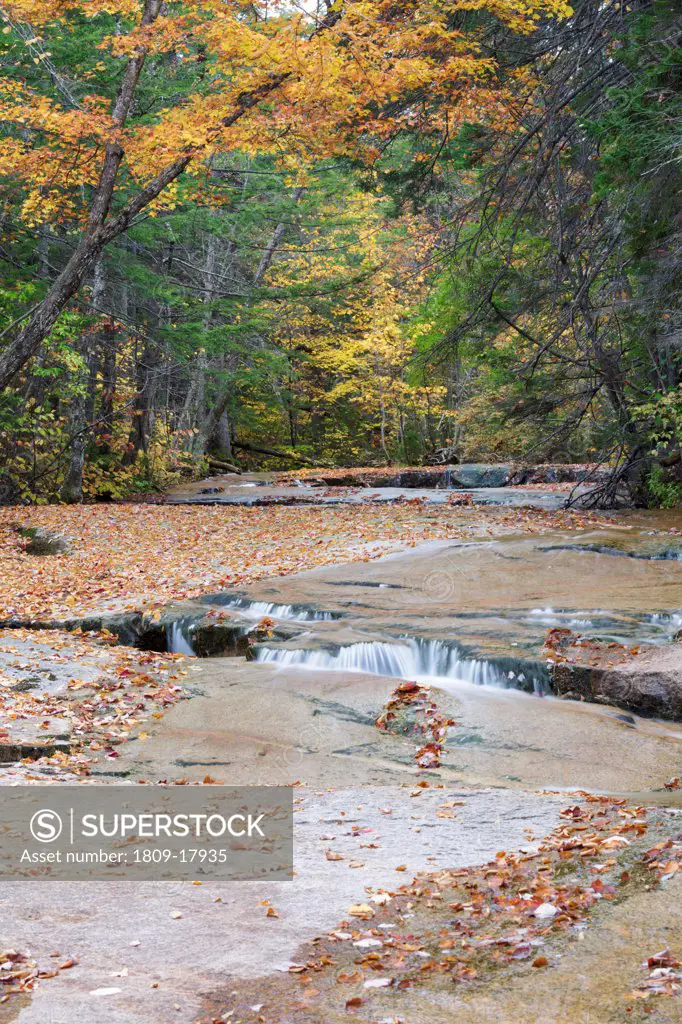 Ledge Brook in the White Mountains, New Hampshire USA during the autumn months. This brook is located off of the Kancamagus Scenic Byway