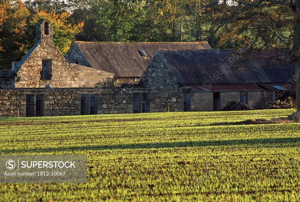 Clonroche, County Wexford, Ireland, Traditional Irish cottages