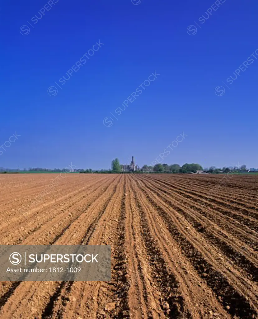Ploughed Potato Field, Ducketts Grove, Near Tullow, Co Carlow, Ireland