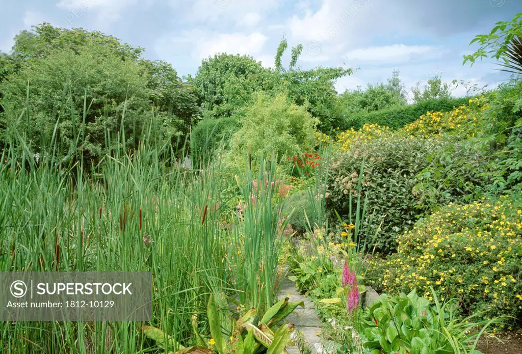 Talbot Botanic Garden, Co Fingal, Ireland, Gardens situated within Malahide Castle Demesne