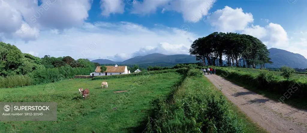 Muckross Trade Farm,Killarney,Co Kerry,Ireland,Panoramic view of Muckross Trade Farm